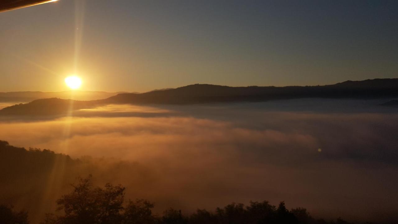 Apartment Motovun Dış mekan fotoğraf