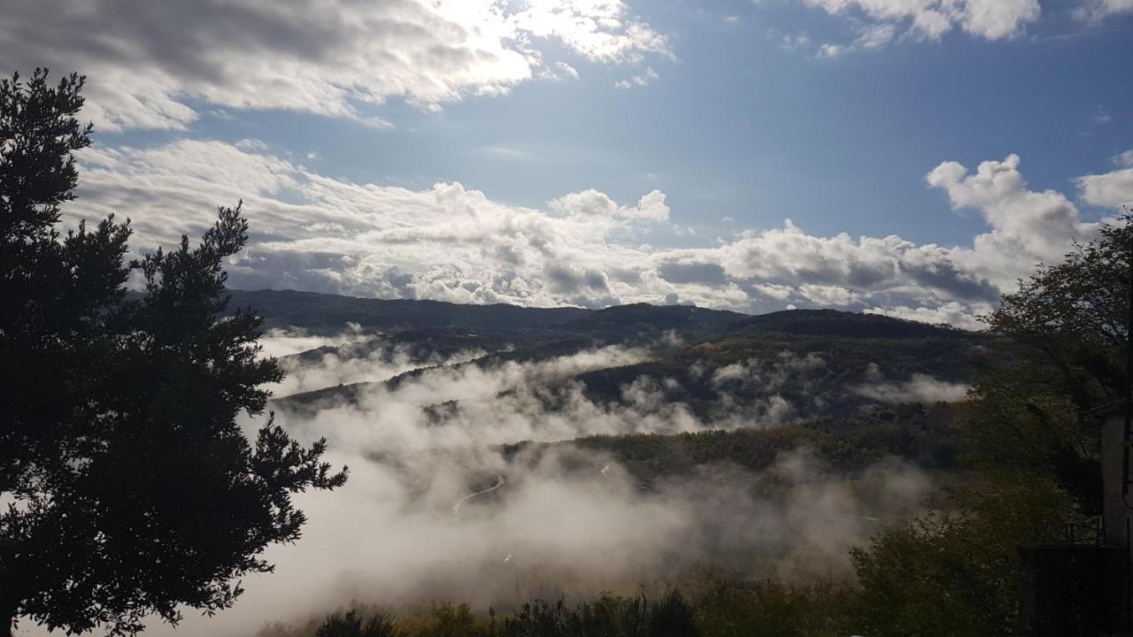 Apartment Motovun Dış mekan fotoğraf
